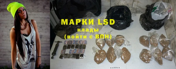 сатива Краснотурьинск