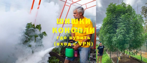 сатива Краснотурьинск