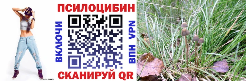 Псилоцибиновые грибы GOLDEN TEACHER  Обнинск 